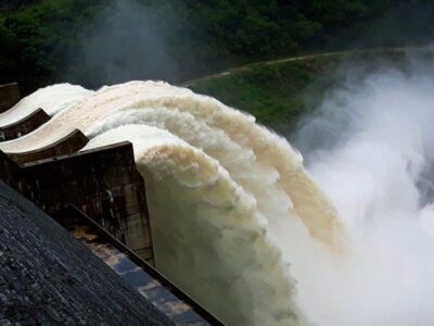 Bản vẽ nội thất phòng ngủ phong cách Japandi dự án Tropical